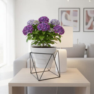 6695 Matera geométrica pequeña Rejiplas