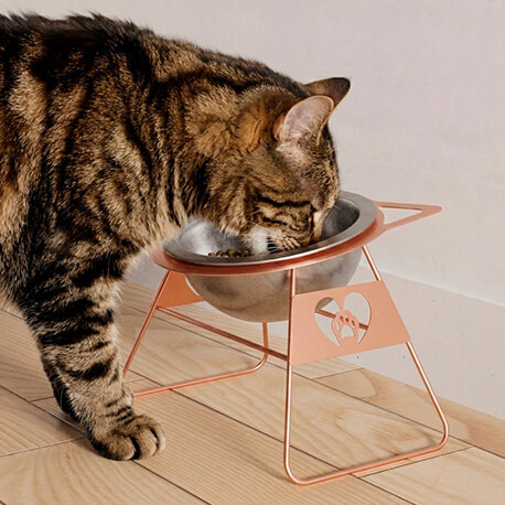 Comedero para gatos Rejiplas